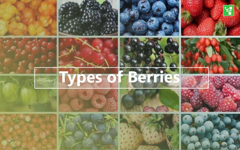berries