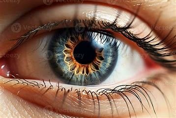eye