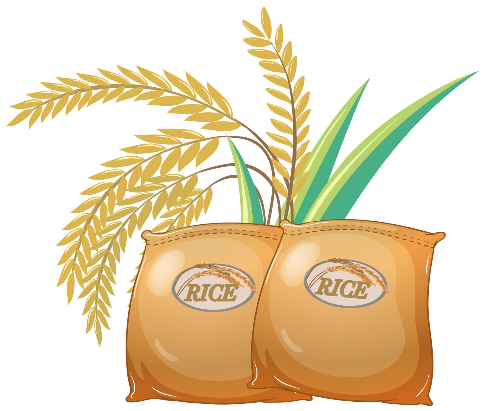 rice