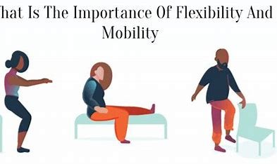 Flexibility and Mobility
