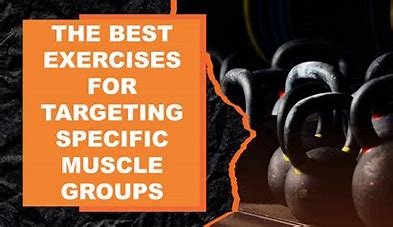 Targeting Specific Muscle Groups in Exercise