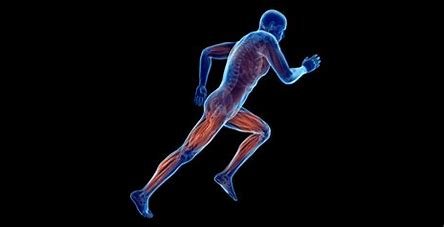 Neuromuscular Training for Better Coordination