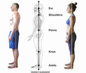 Posture and Alignment